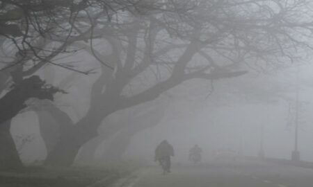 Cold wave, dense fog in parts of North India; Haryana's Hisar reports lowest minimum temp at 1.1 degrees C