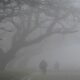 Cold wave, dense fog in parts of North India; Haryana's Hisar reports lowest minimum temp at 1.1 degrees C