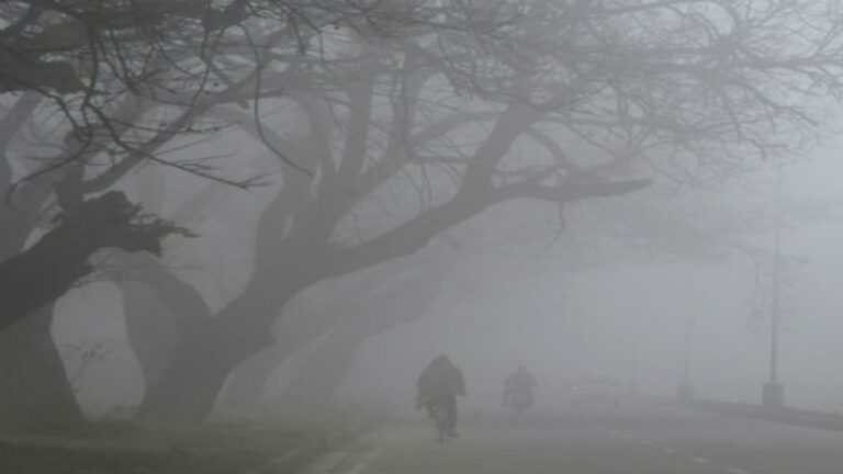 Cold wave, dense fog in parts of North India; Haryana’s Hisar reports lowest minimum temp at 1.1 degrees C
