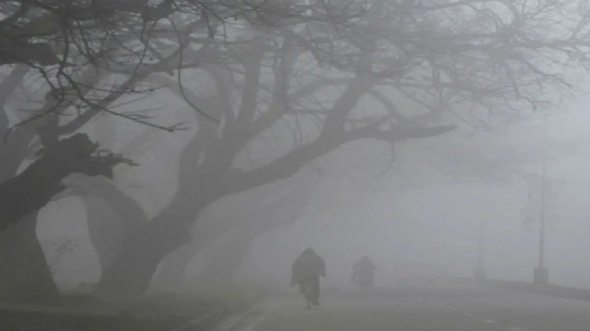 Cold wave, dense fog in parts of North India; Haryana's Hisar reports lowest minimum temp at 1.1 degrees C