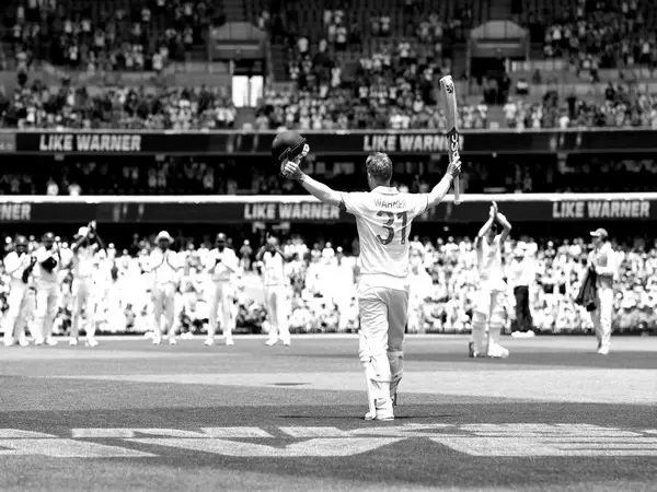 David Warner's goodbye Test was like a fairy tale ending. The opener showed his class one last time with a fifty that won the match