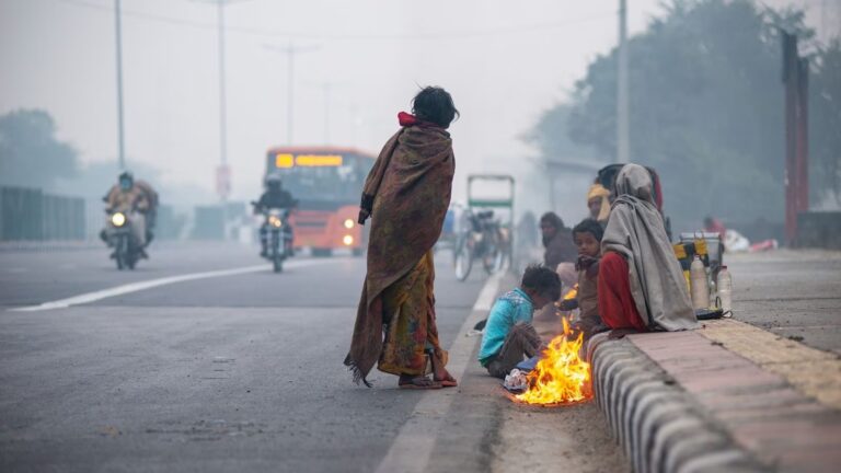 North India shivers as mercury dips, fog reduces visibility in Delhi