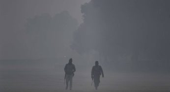 Dense fog blankets northern India with no respite from cold wave, visibility drops to zero