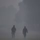 Dense fog blankets northern India with no respite from cold wave, visibility drops to zero