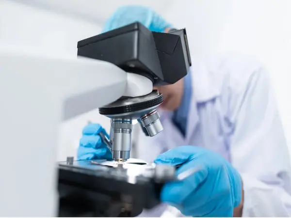 Excessive optimism linked with lower cognitive abilities: Study