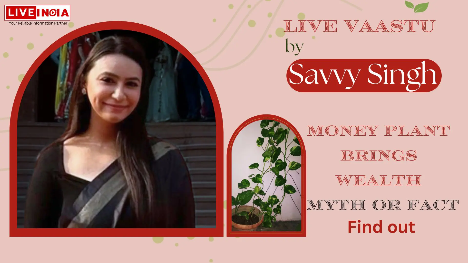 Money plant is associated with wealth? Fact or Myth