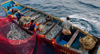 Reduce carbon footprints for climate-resilient fisheries: India tells global UN body