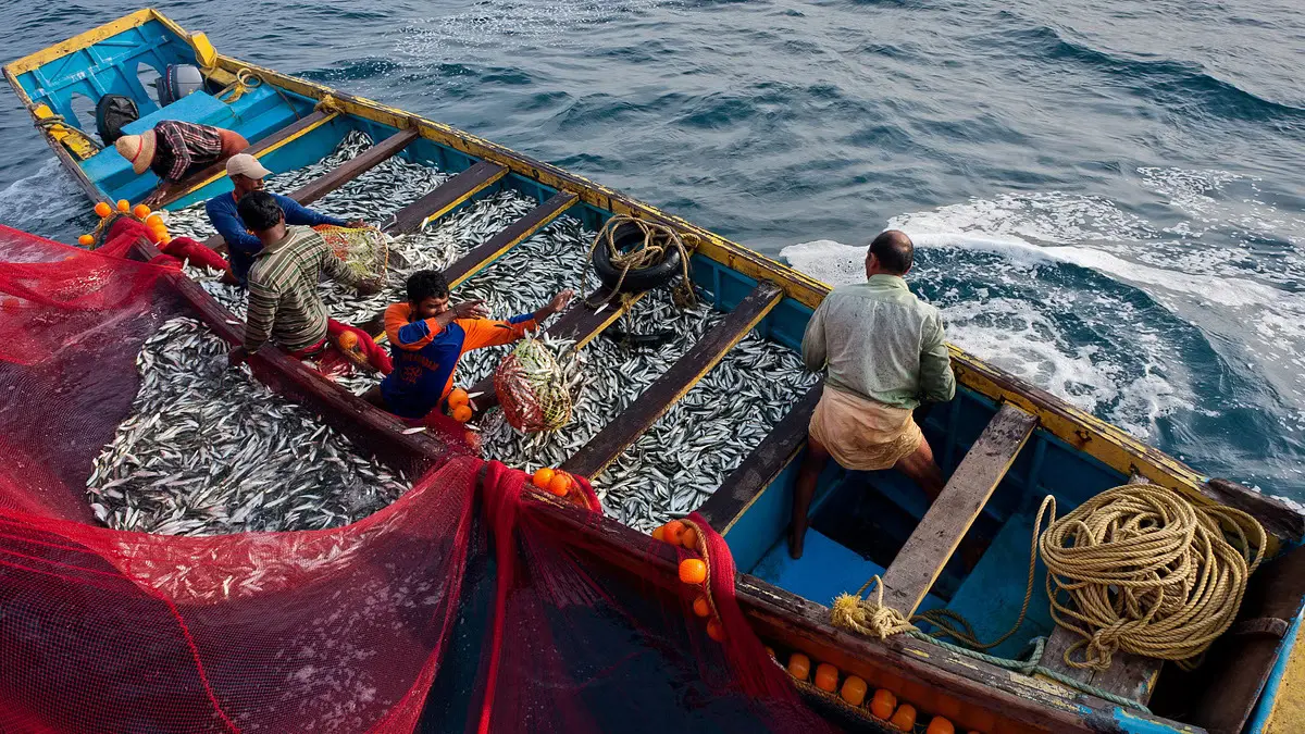 Reduce carbon footprints for climate-resilient fisheries: India tells global UN body