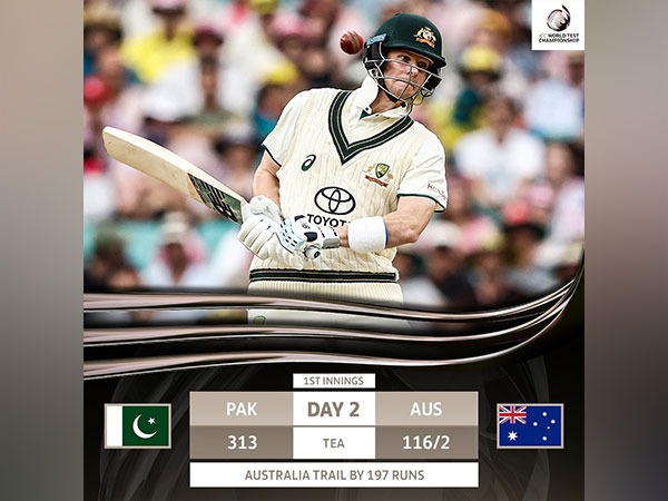 AUS vs PAK, 3rd Test: Australia at 116/2 at end of second session at Sydney