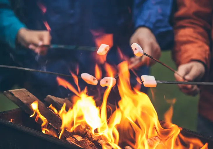 Winter Warmers: A Culinary Journey Through India's Coziest Comfort Foods