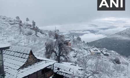 Smiles return, hopes of farm yield and tourist footfall brighten as Himachal receives fresh snowfall