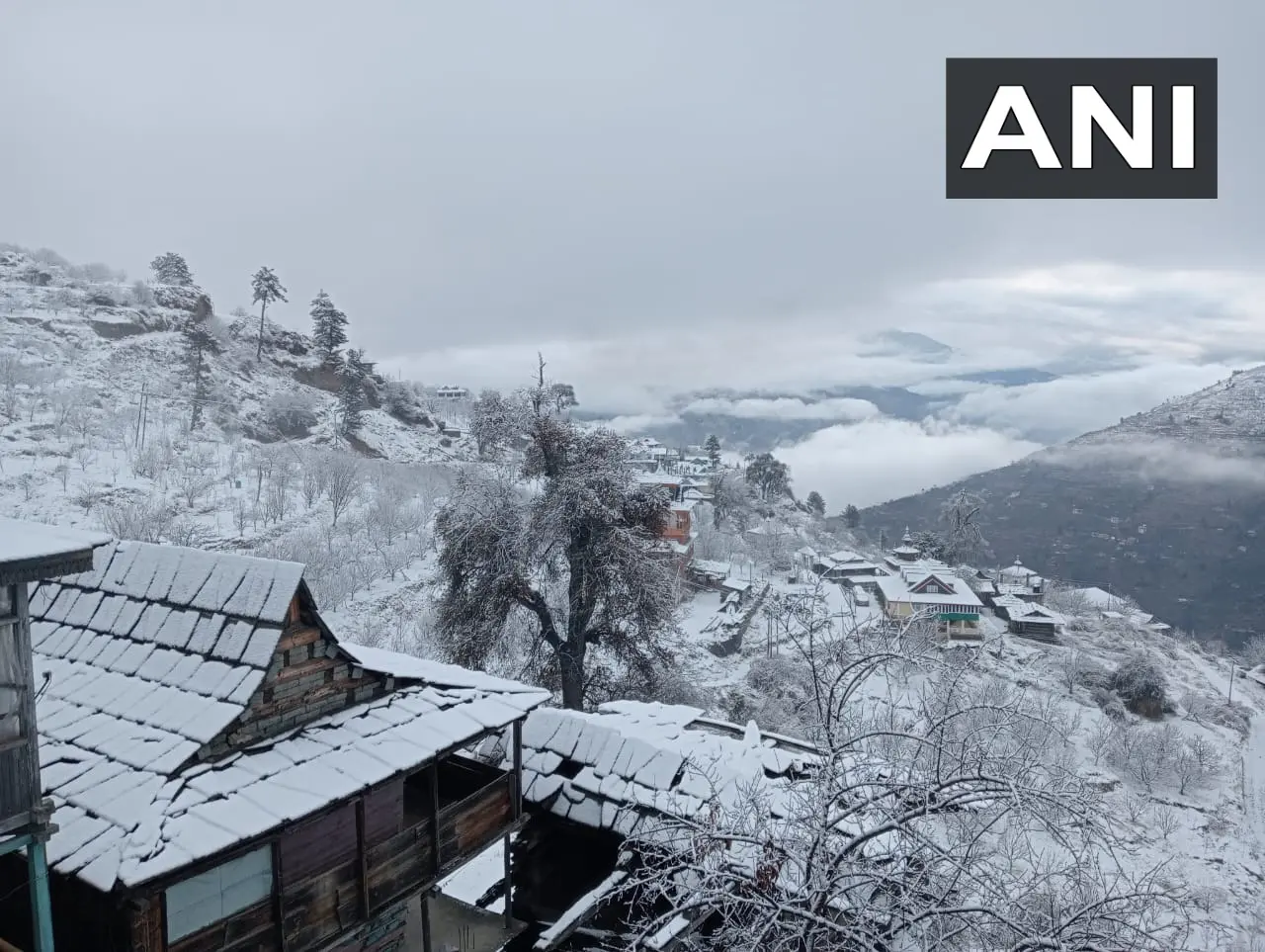 Smiles return, hopes of farm yield and tourist footfall brighten as Himachal receives fresh snowfall