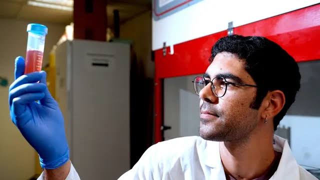 Israeli scientists extend produce shelf life with sound waves, edible nanoparticles