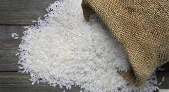 Rice Traders Must Disclose Stocks Starting Next Friday: Food Secretary