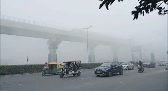 Thin layer Of Fog Blankets Delhi; IMD Predicts Light Rain On Sunday