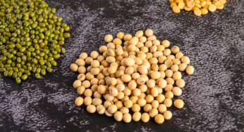 India Extends Duty Free Import Of Yellow Peas By One Month