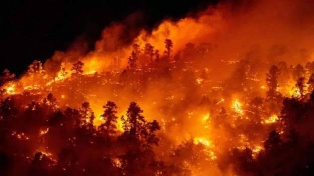 Devastating wildfires in Chile claim over 120 lives, rescue operation underway