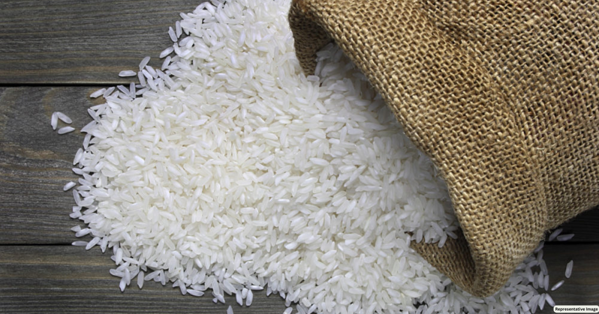 Rice Traders Must Disclose Stocks Starting Next Friday: Food Secretary