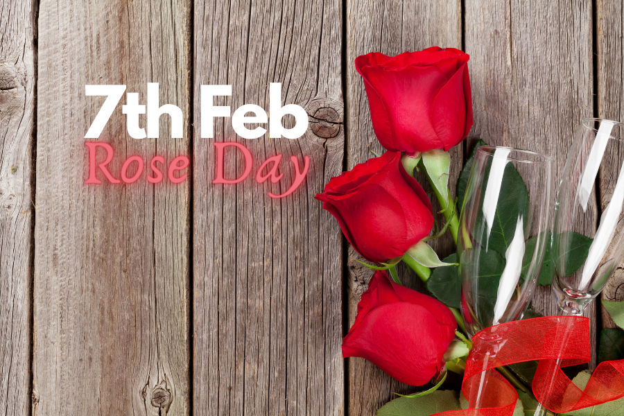 Rose Day- Significance and Celebration in Valentine's Week