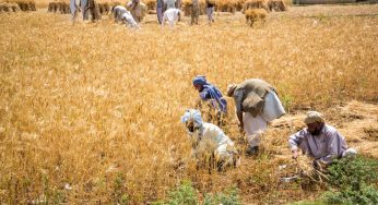 Pakistan farmers demands agricultural emergency in country