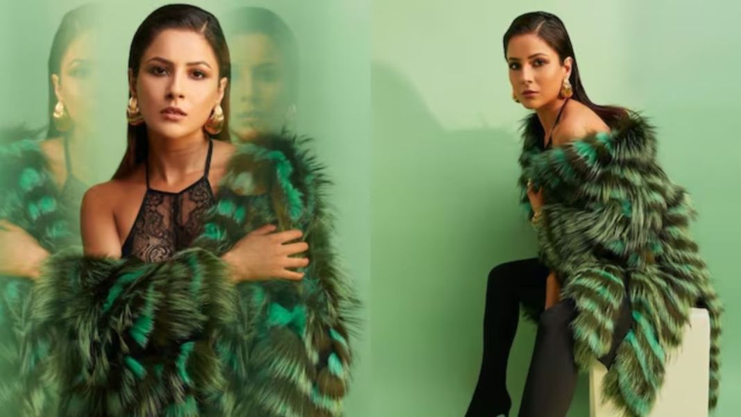 Shehnaaz Gill Stuns Fans with Mesmerizing Pics