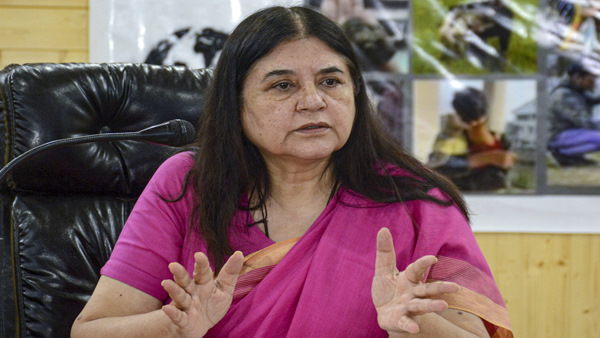 "I am happy to be in BJP," says Maneka Gandhi