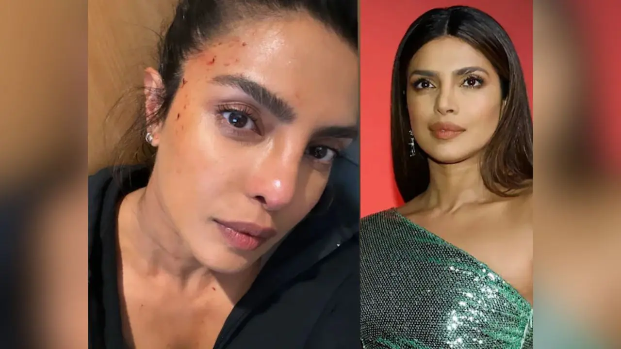 Priyanka Chopra Shares Selfie from 'Heads of State' Shoot!