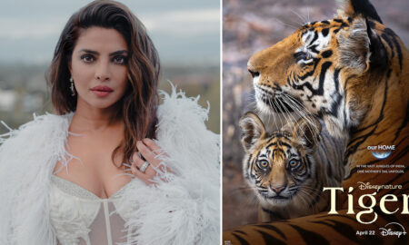 Priyanka Chopra lends voice for new film 'Tiger', announces release date