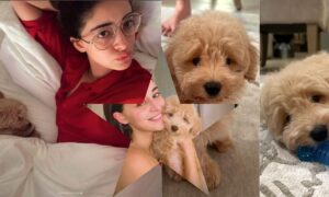 Ananya Panday Welcomes “Baby Jaan” Riot, Her New Furry Companion