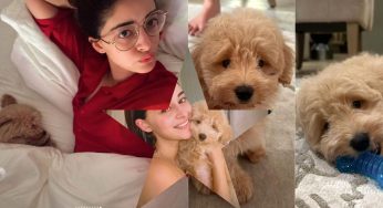 Ananya Panday Welcomes “Baby Jaan” Riot, Her New Furry Companion