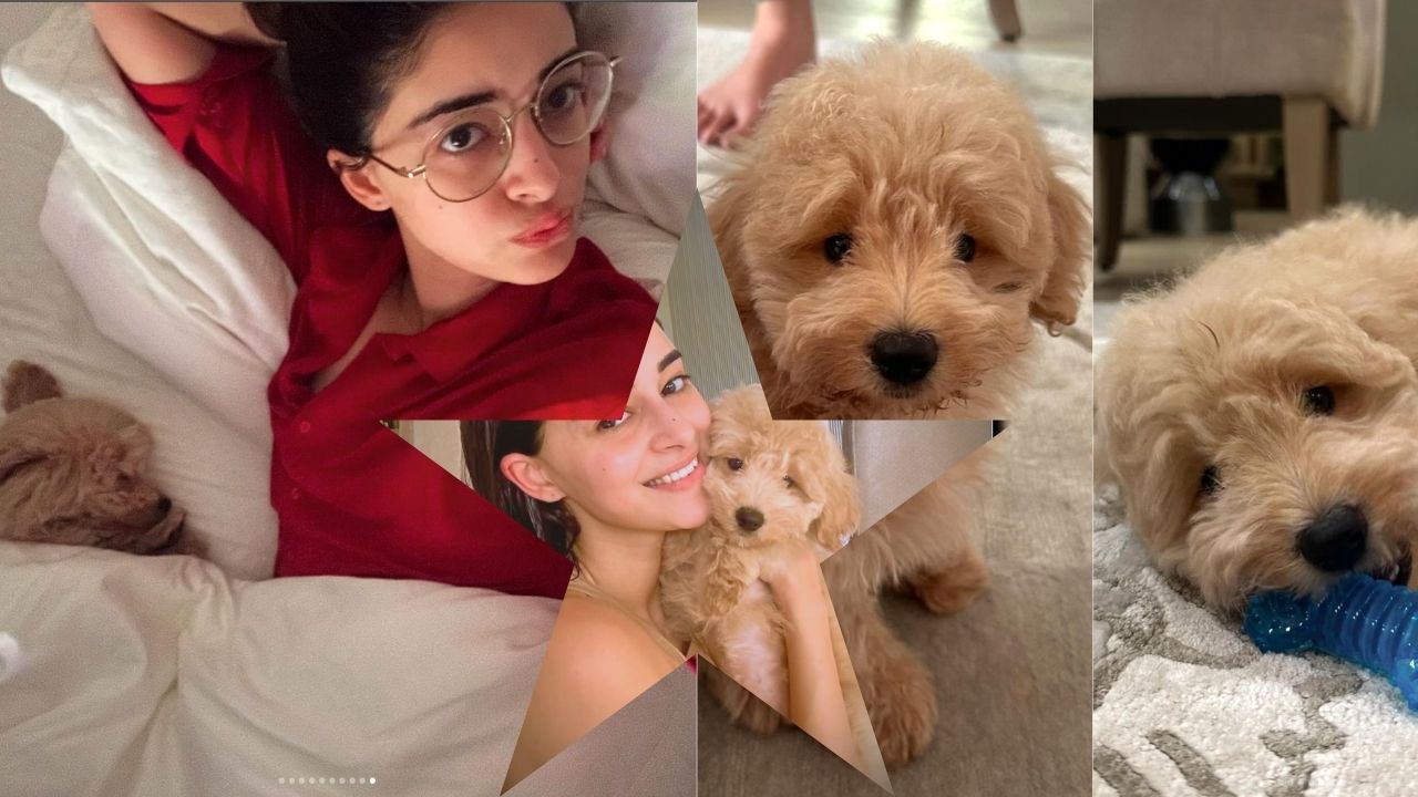 Ananya Panday Welcomes “Baby Jaan” Riot, Her New Furry Companion