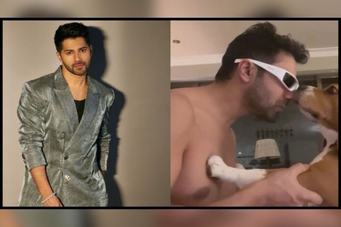 Varun Dhawan's Dance Video with Fur Baby Joey Will Leave You Awestruck