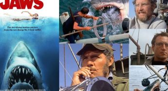 Dive into ‘Jaws’: Nat Geo’s 50th Anniversary Documentary