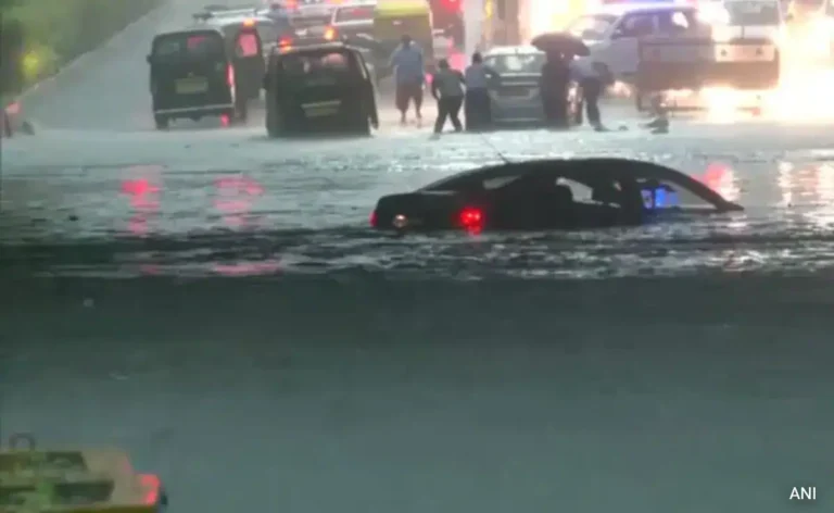 The Capital of the 5th Largest Economy Brought to its Knees After One Pre-Monsoon Shower