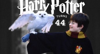 Harry Potter Turns 44: Unveiling 8 Hidden Truths About His Life