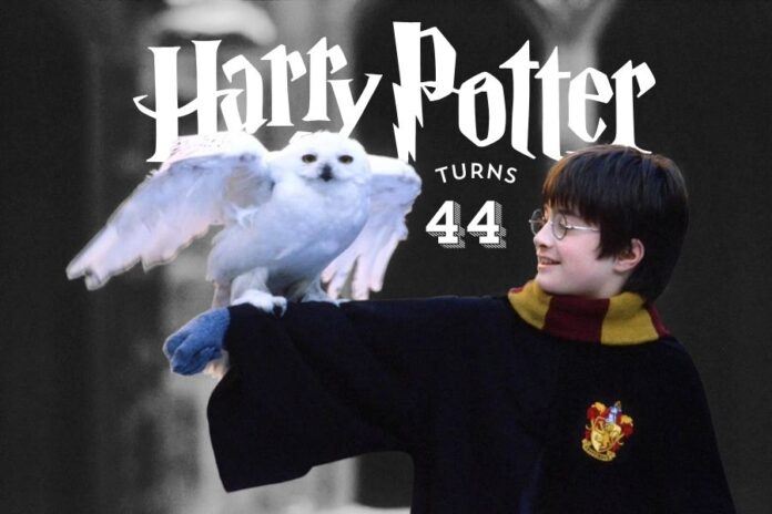 Harry Potter Turns 44: Unveiling 8 Hidden Truths About His Life