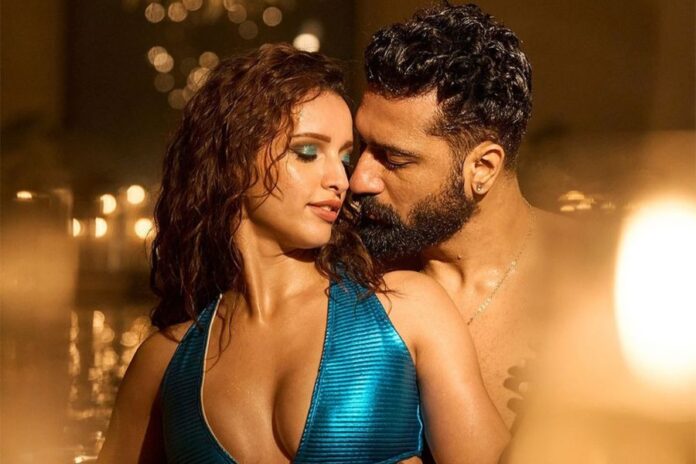 Vicky Kaushal and Triptii Dimri's Sizzling Chemistry in 'Jaanam' from 'Bad Newz'