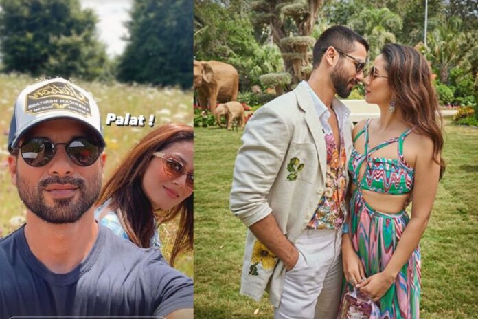 Shahid Kapoor and Wife Mira Share Fun Vacation Pics and Exciting 'Deva' Update