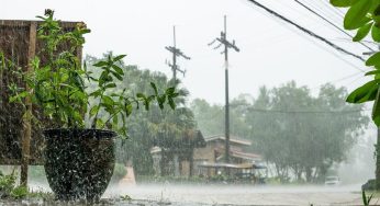 IMD Predicts Weak Monsoon for Peninsular India