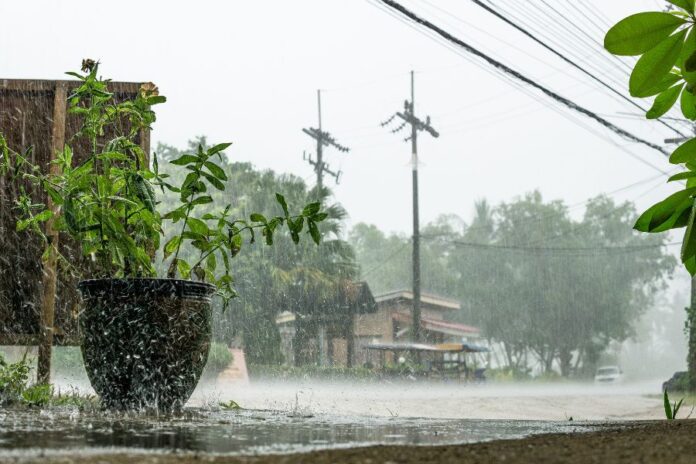 IMD Predicts Weak Monsoon for Peninsular India