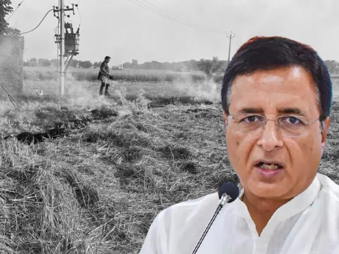 Surjewala Demands Answers: ‘What Is the Alternative to Stubble Burning?’