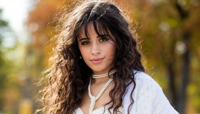 Camila Cabello Announces 'Internet Break'