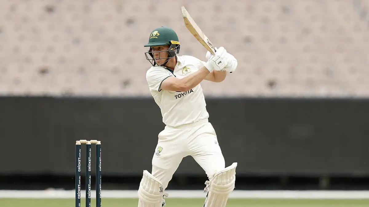 "Highest Score Of Test Summer": David Warner Backs McSweeney