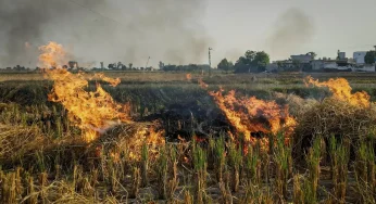 Govt Amends Rules on Environmental Compensation for Stubble Burning