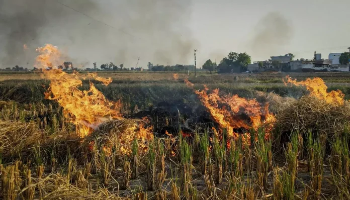 Govt Amends Rules on Environmental Compensation for Stubble Burning