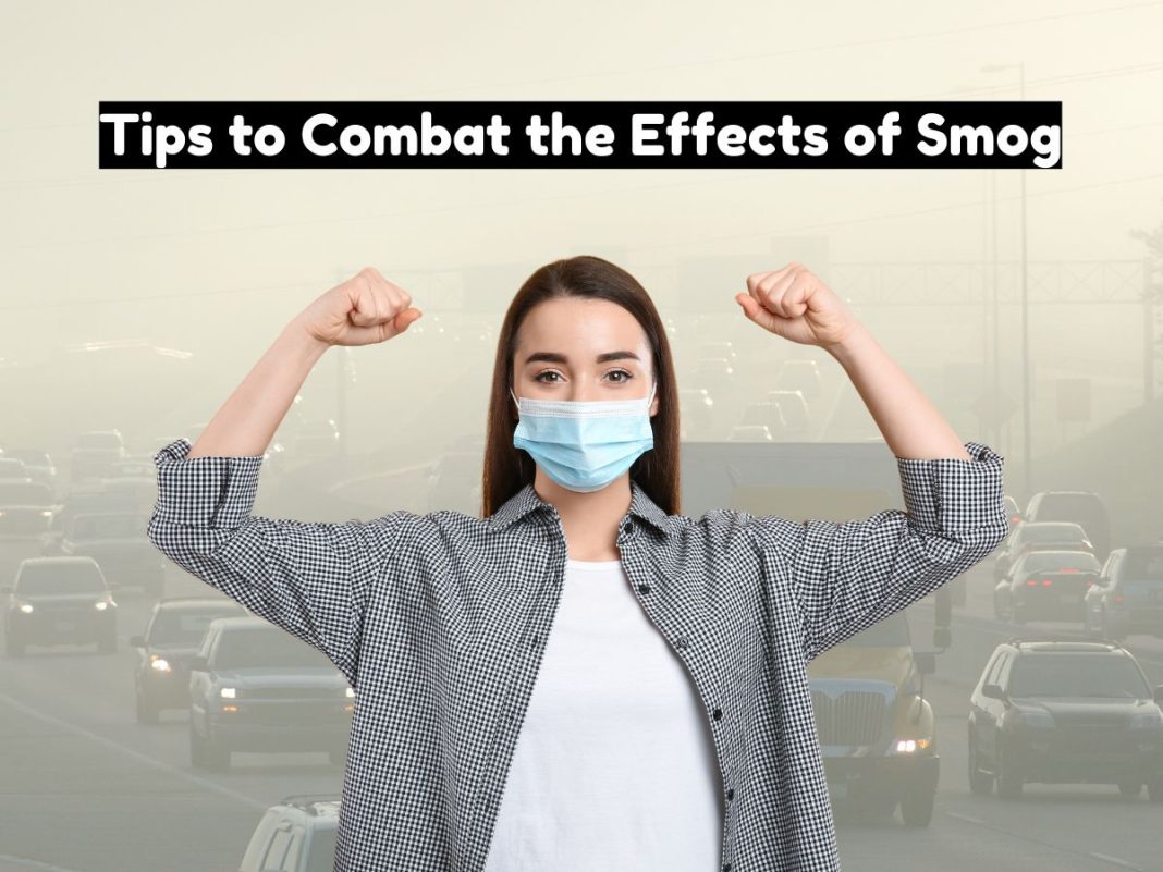 Boost Your Immunity Naturally: Diet Tips to Combat the Effects of Smog