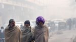 Delhi’s Air Quality Remains Poor as Temperatures Stabilize After Cold Wave