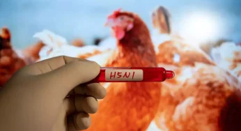 H5N1 Bird Flu Outbreak Detected in Israel’s Kfar Vitkin: 19,000 Turkeys Affected