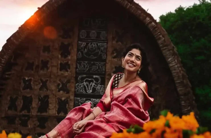 Sai Pallavi Breaks Silence On Turning Vegetarian For Sita's Role In 'Ramayana', Calls It "Cooked Up Crappy Story"