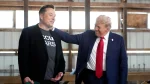 Can Elon Musk Become US President? Here is What Trump Says